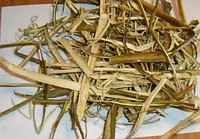 кора ивы
